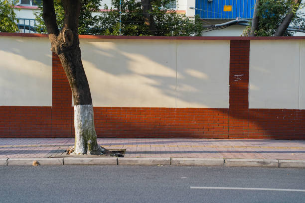 istockphoto-2187676705-612x612.jpg 91网