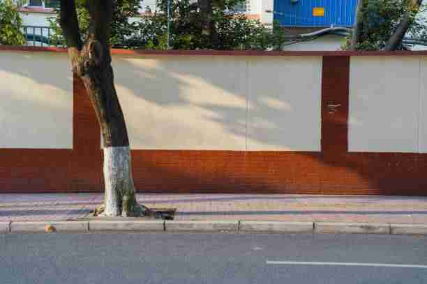 122个理由告诉你每日大赛黑料 干货满满不踩坑