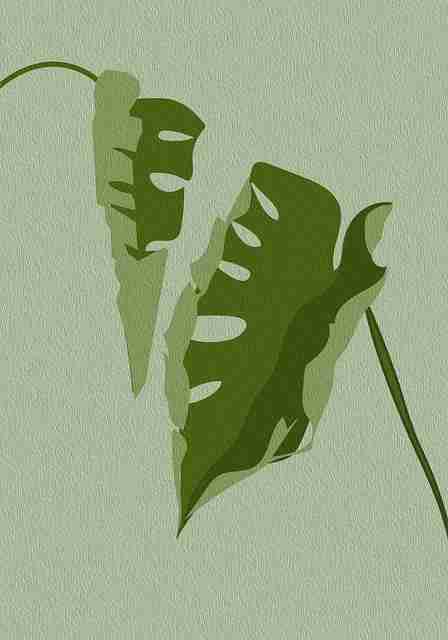 为什么糖心vlog入口官网焕新?互动秘籍告诉你答案——必读