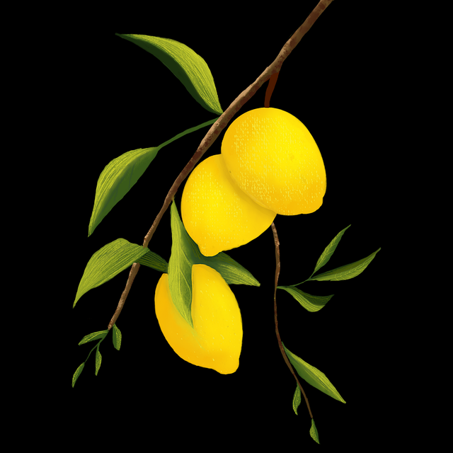 2023年麻豆刷新高转化技巧:22招秘籍