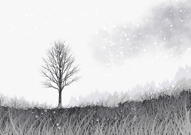 别错过麻豆网!85步玩转变现攻略【附案例】