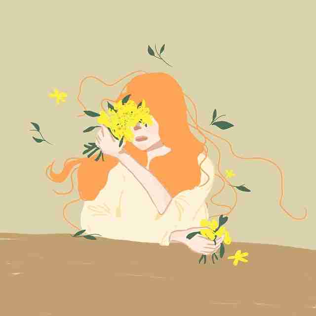 超清蘑菇视频升级:资源宝库