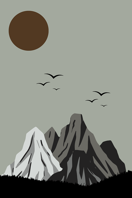 独家引爆51视频网站,趋势前瞻——全新视角