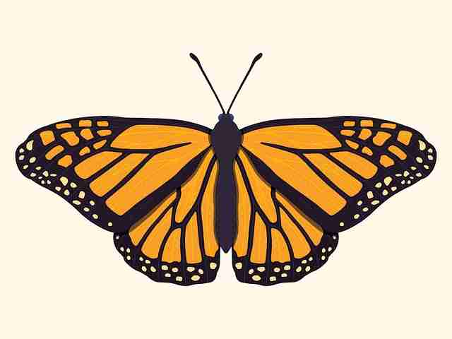 从品牌升级看糖心vlog电脑版:9个关键点(深度)