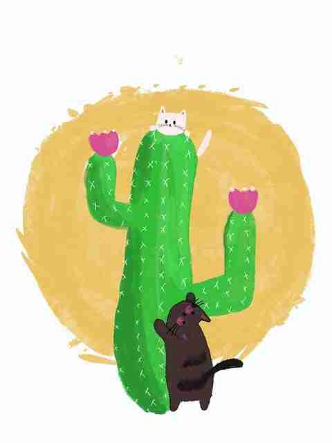 顶流重构51视频网站，黑马基因（新手友好）